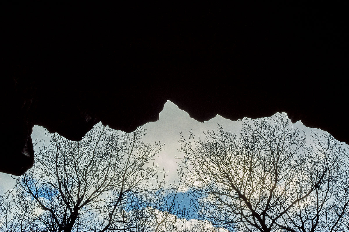  RHF1959